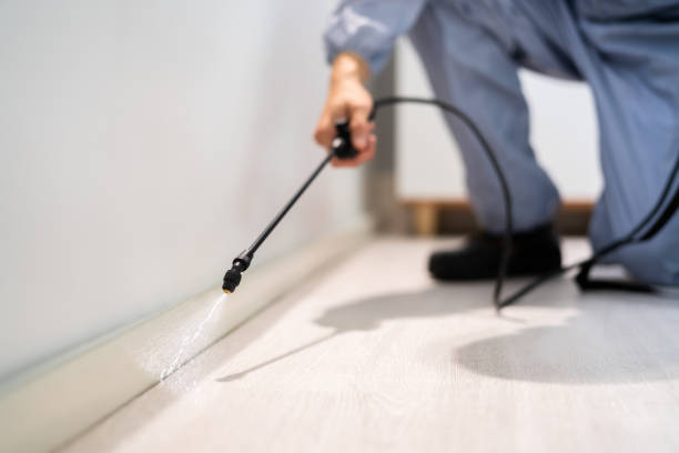 Bed Bug Pre-Treatment Preparation Assessment in Hilliard