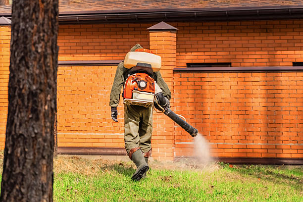 Bed Bug Clearance Verification and Documentation in Hilliard